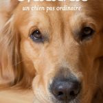 La version papier broché de Chadna un chien pas ordinaire