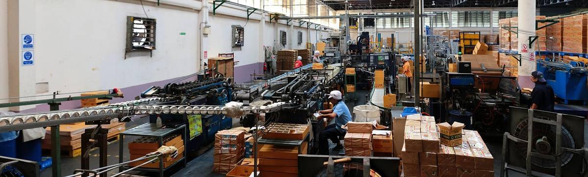Équipe travaille dans une grande usine avec machines et palettes